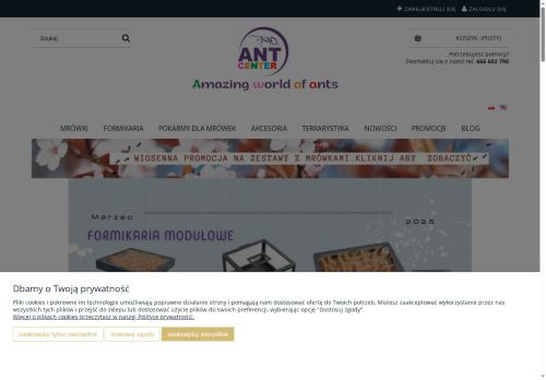 Prosper Izabela Rachwał